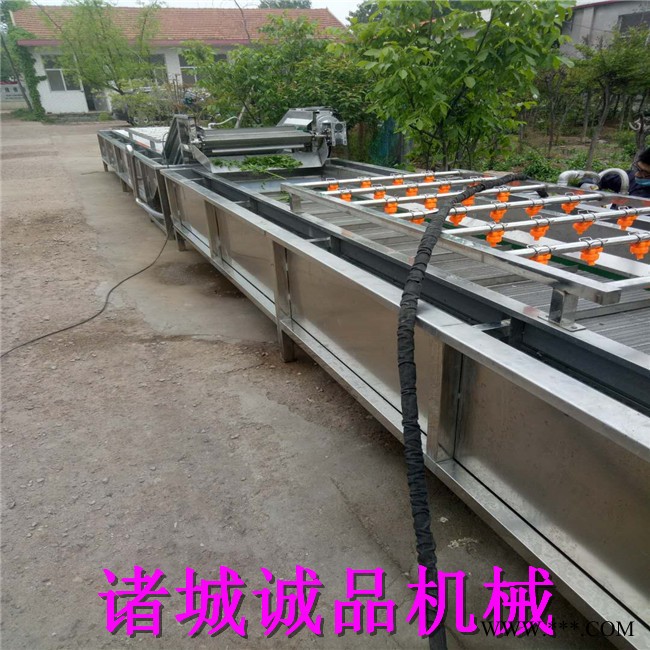 诚品 毛辊清洗机 毛豆清洗机 红薯去皮清洗机 萝卜清洗设备 海蛎子毛辊清洗机 山药清洗机 马铃薯土豆去皮机 **图5