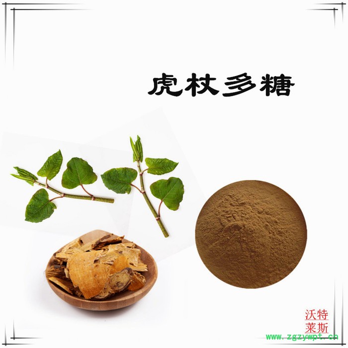 沃特莱斯 虎杖提取物10:1 白藜芦醇 速溶虎杖粉图2