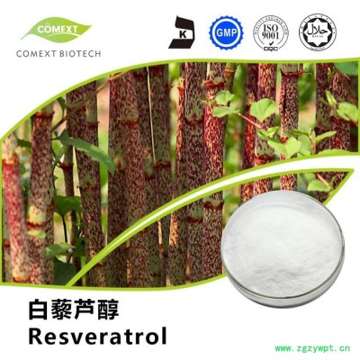虎杖提取物98%白藜芦醇