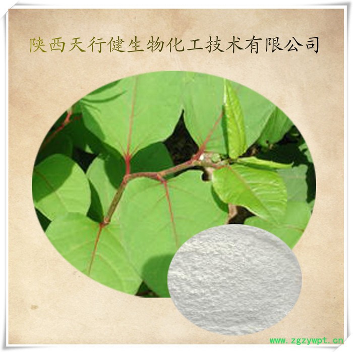 供应天行健hzh01虎杖提取物