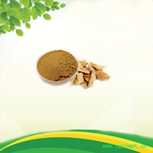 森杰生物  现货供应  虎杖提取物  10:1  植物提取物  包邮图3