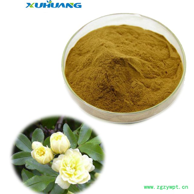 旭煌生物 木香提取物图7