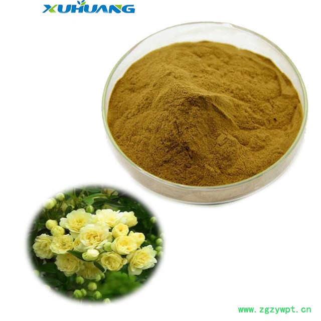 旭煌生物 木香提取物图5