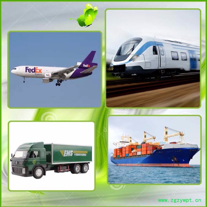 厂家直供植物提取物 比例提取物 虎杖甙 白藜芦醇 虎杖提取物图4