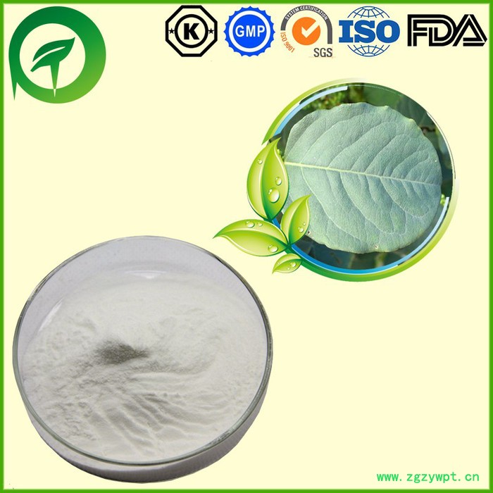 厂家直供植物提取物 比例提取物 虎杖甙 白藜芦醇 虎杖提取物图2