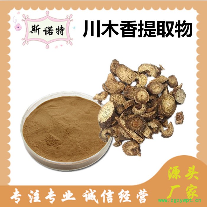 斯诺特 川木香提取物 川木香粉 厂家供应 包邮图6