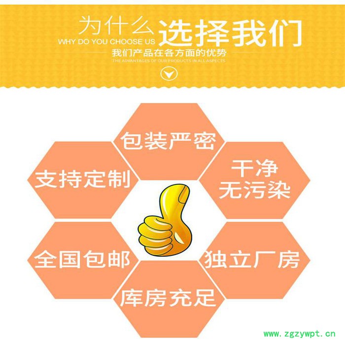 斯诺特 川木香提取物 川木香粉 厂家供应 包邮图2