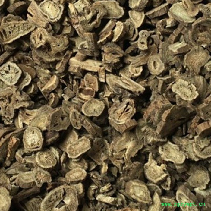 川木香速溶粉 川木香浓缩粉 厂家发货 斯诺特图5