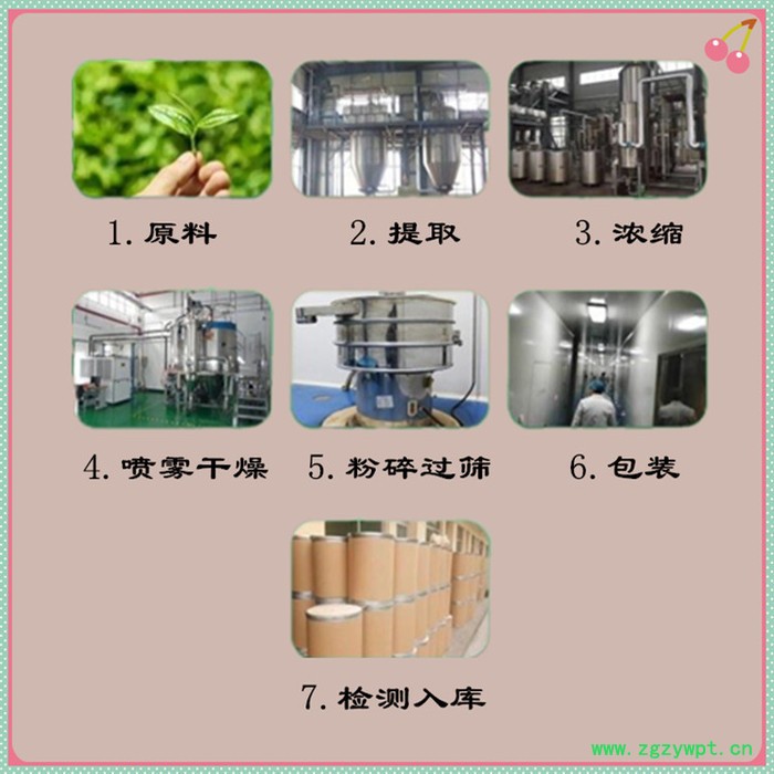 川木香速溶粉 川木香浓缩粉 厂家发货 斯诺特图8