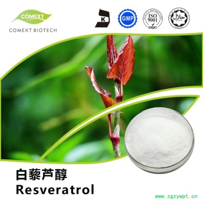 长沙康萃现货供应虎杖提取物98%白藜芦醇反式白藜芦醇