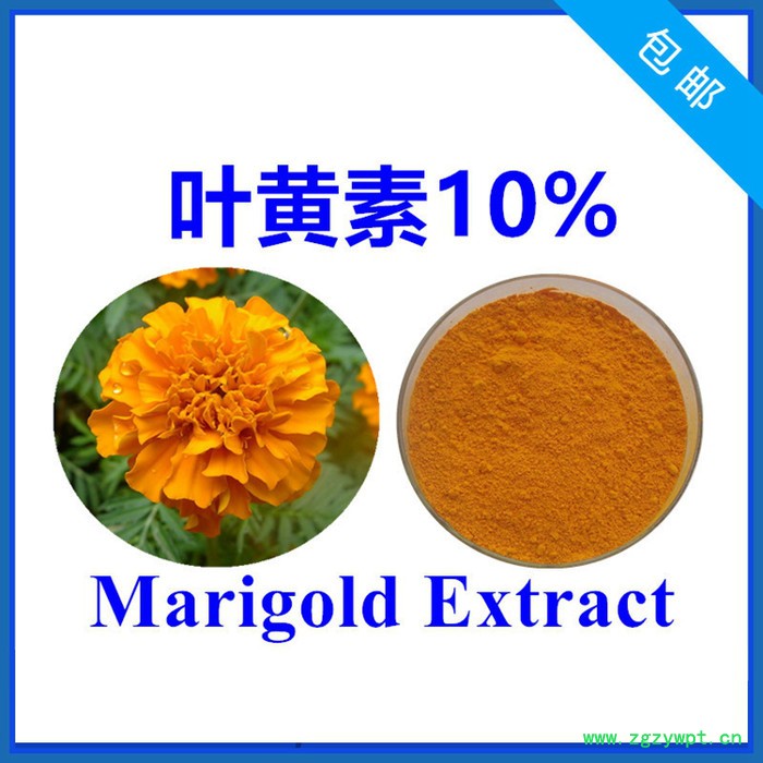 水溶性白藜芦醇10% 虎杖提取物 萃取工艺 厂家批发零售图7