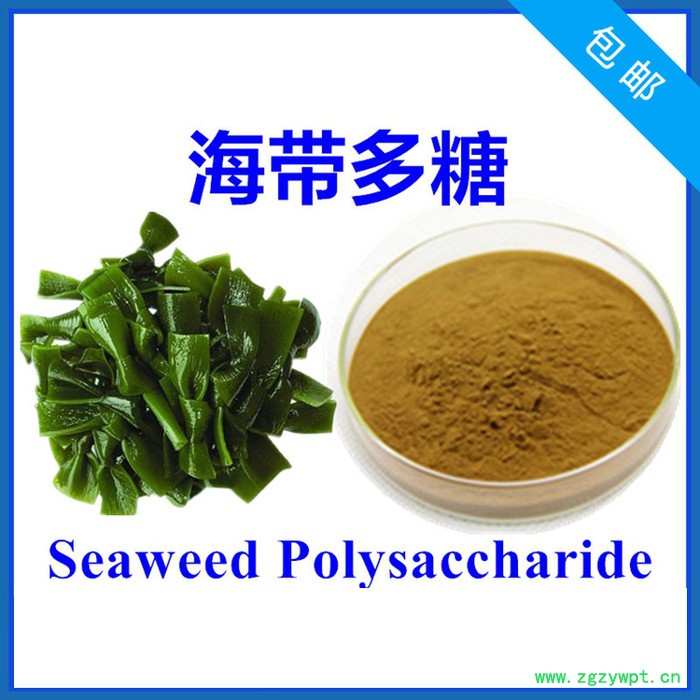 水溶性白藜芦醇10% 虎杖提取物 萃取工艺 厂家批发零售图5