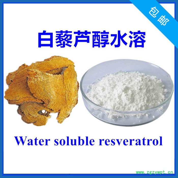水溶性白藜芦醇10% 虎杖提取物 萃取工艺 厂家批发零售图4