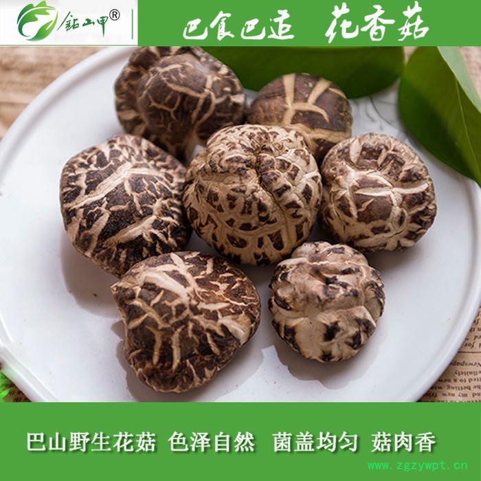 巴食巴适椴木干花菇250g盒装四川特产食用野菌菇特级干货椴木香菇图4