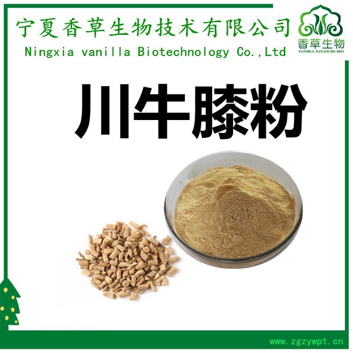 川牛膝粉98% 香草生物 牛膝粉120目 川牛膝提取物图4
