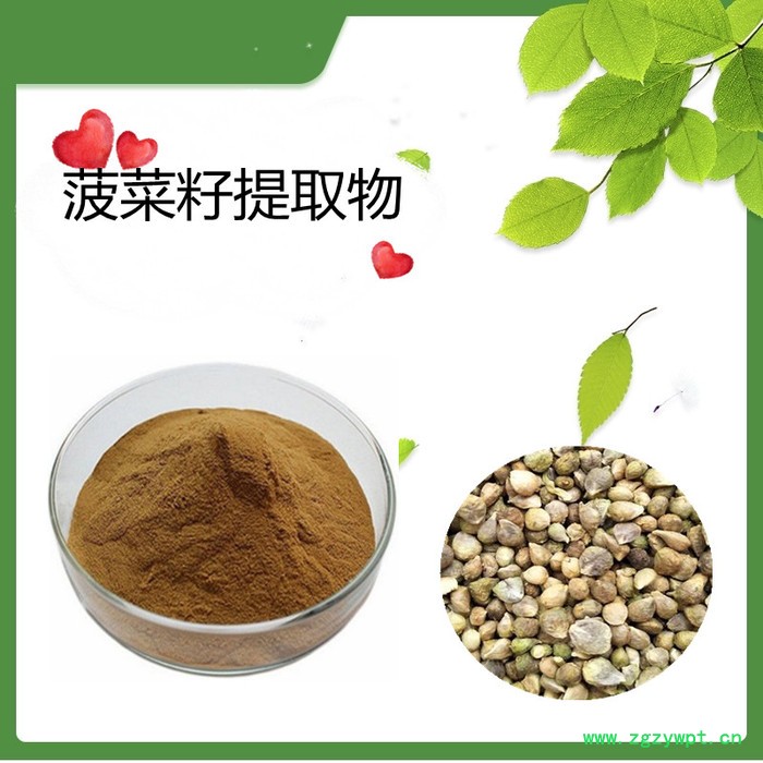 川芎粉   水溶   可定制   斯诺特生物图3