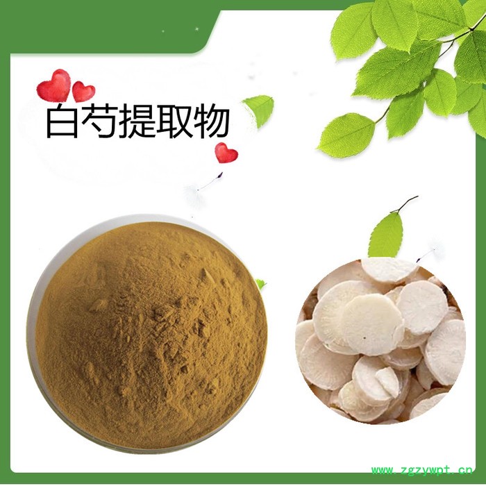 川芎粉   水溶   可定制   斯诺特生物图2