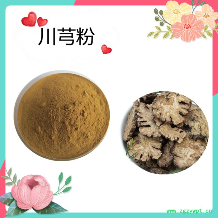 川芎粉   水溶   可定制   斯诺特生物图4