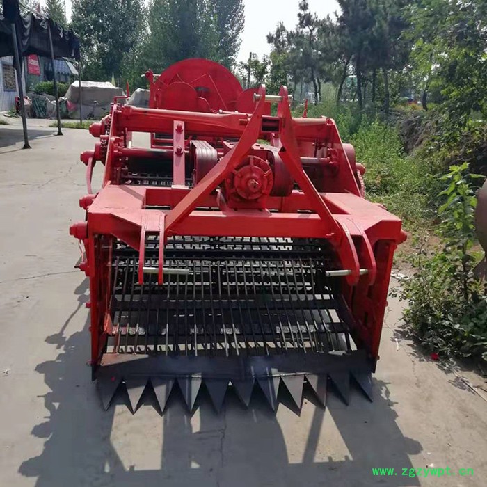 元胡收获机 前胡收割机械 融兴 元胡药材挖掘机 丹参收割机出售图2