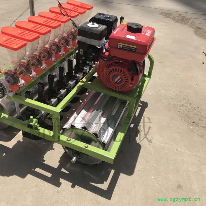 冠发 水稻播种机 多行谷子精播机 **滚筒元胡药材收获机图2