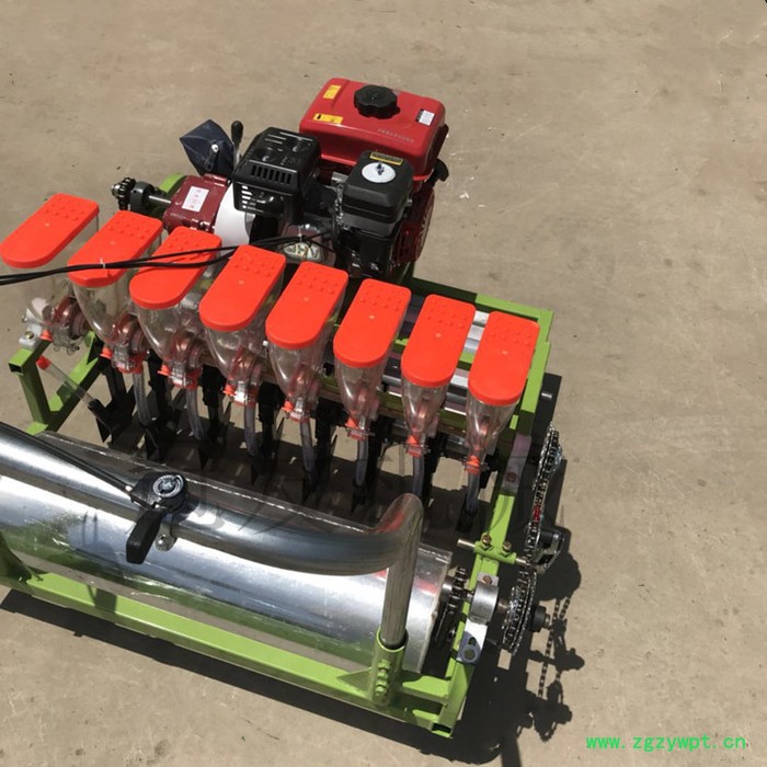 冠发 谷子精播机 免间苗白菜菠菜播种机 **滚筒元胡药材收获机图6