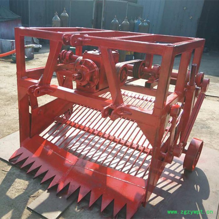 睿迪牌加深型黄芪药材收获机 白术牛膝草深挖机图片图3