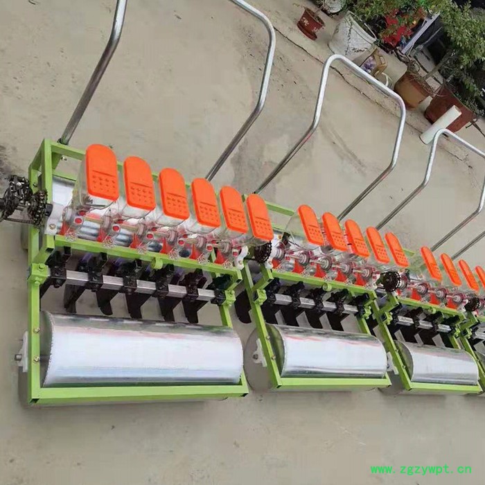 白菜播种施肥机 冠发桔梗精播机 **滚筒元胡药材收获机图6