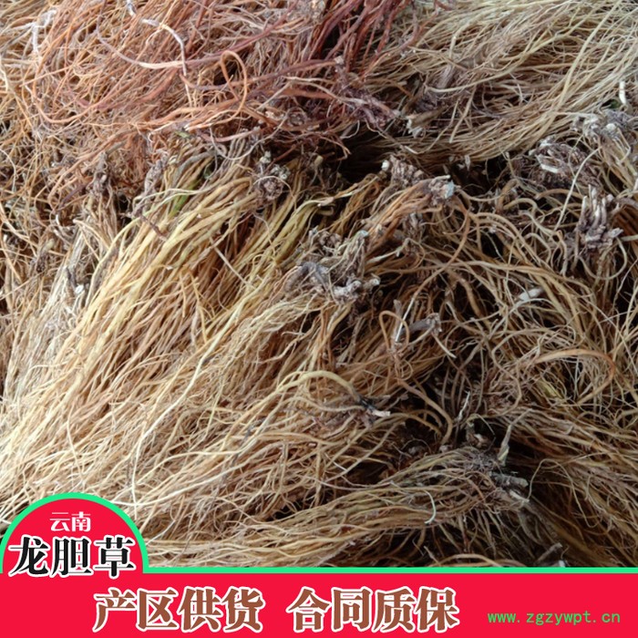 鑫燎三农 龙胆草鲜货 龙胆草行情图7