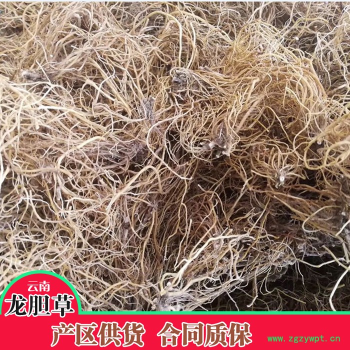 鑫燎三农 龙胆草鲜货 龙胆草行情图2