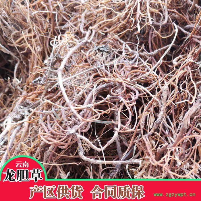 鑫燎三农 龙胆草鲜货 龙胆草行情图6