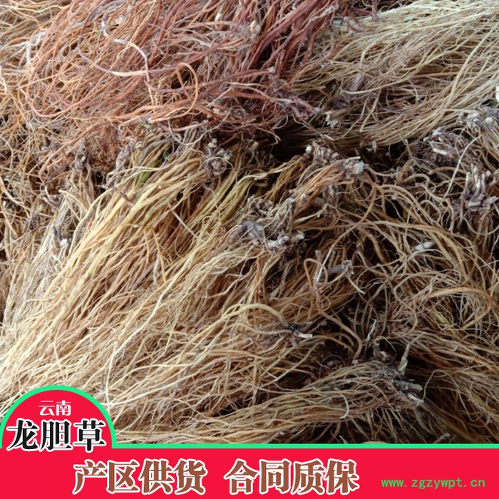 鑫燎三农 龙胆草鲜货 龙胆草行情图3