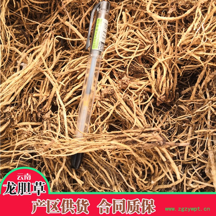 鑫燎三农 龙胆草鲜货 龙胆草行情图8