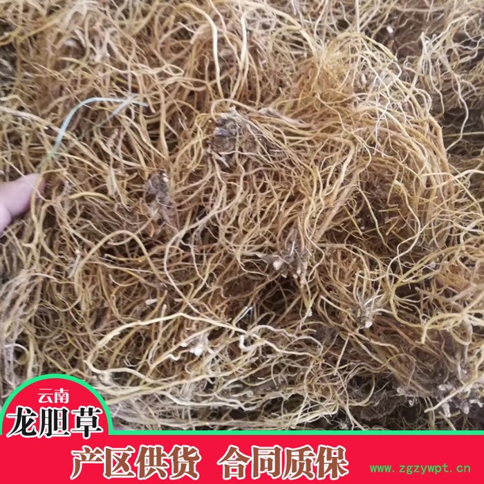 鑫燎三农 龙胆草鲜货 龙胆草行情图4