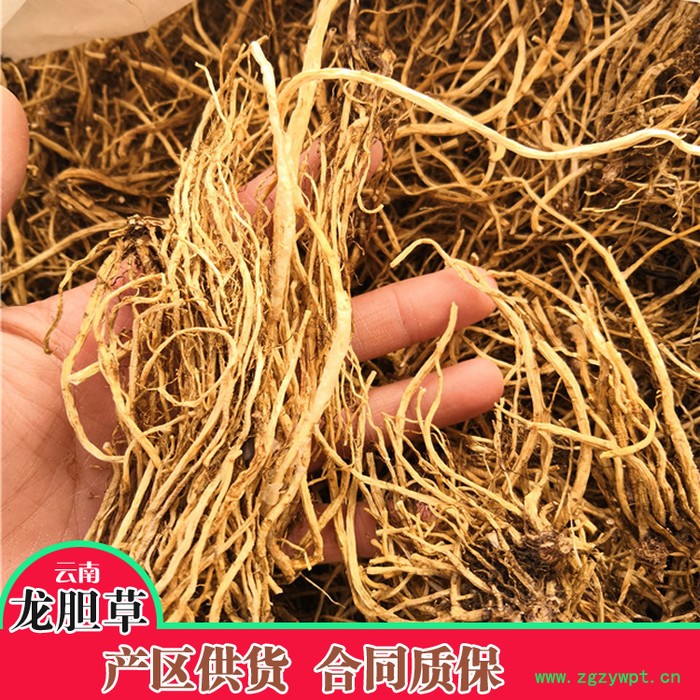 鑫燎三农 龙胆草鲜货 龙胆草行情图5