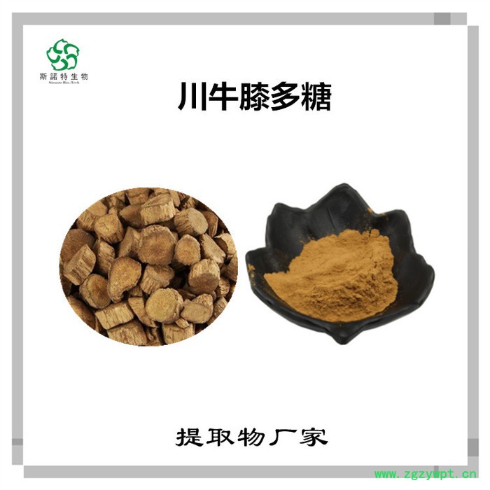 斯诺特 川牛膝提取物 川牛膝多糖 植物提取物图5
