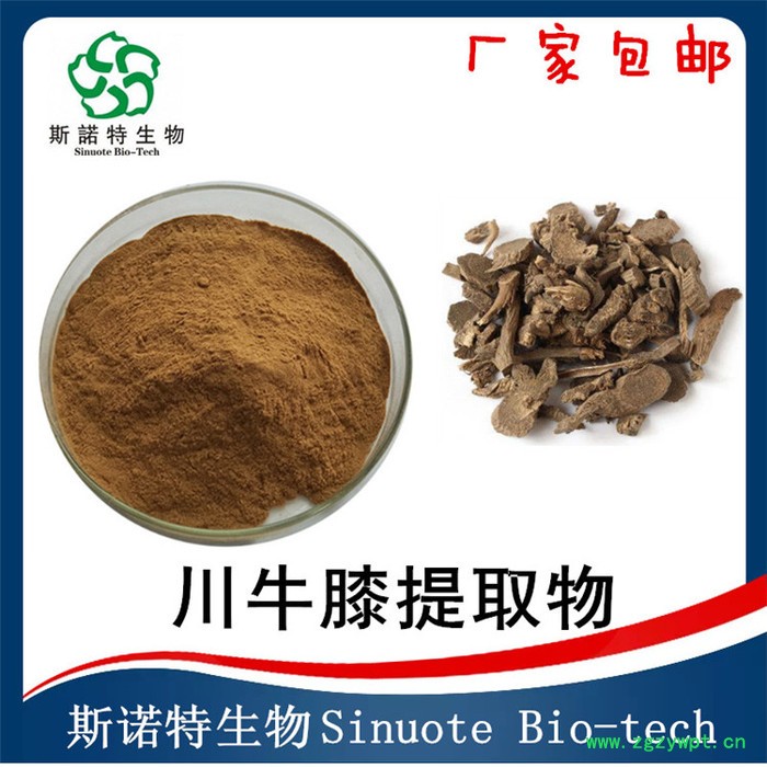 川牛膝提取物  浸膏  水溶性川牛膝粉  斯诺特生物图7