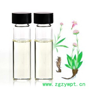 南箭 厂家长期现货提供 川芎油8015-64-3 植物精油 量多价廉图3