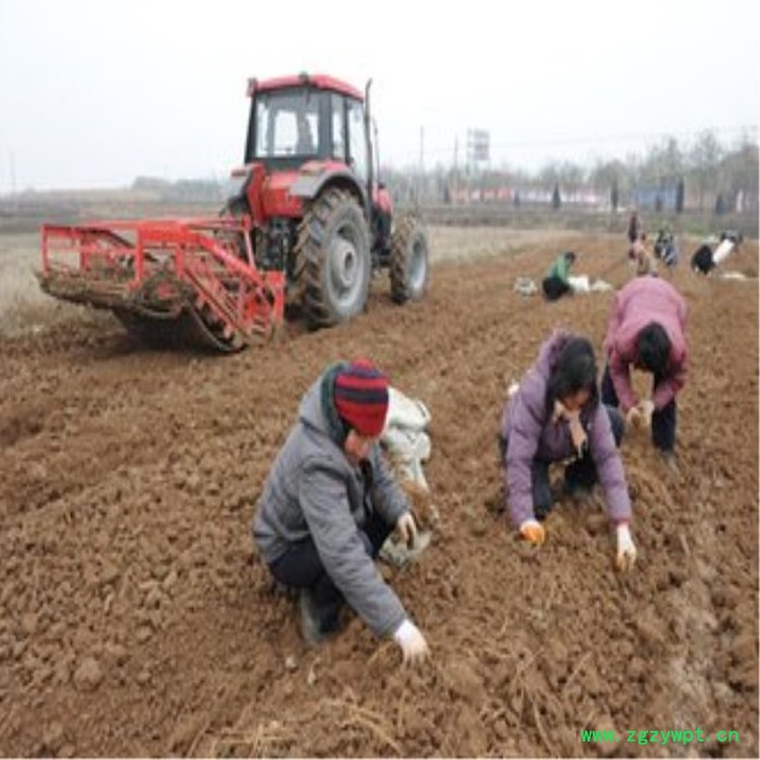 新疆元胡挖掘机报价 甘草收获机 麦冬挖掘机 贝母药材起药机报价图8
