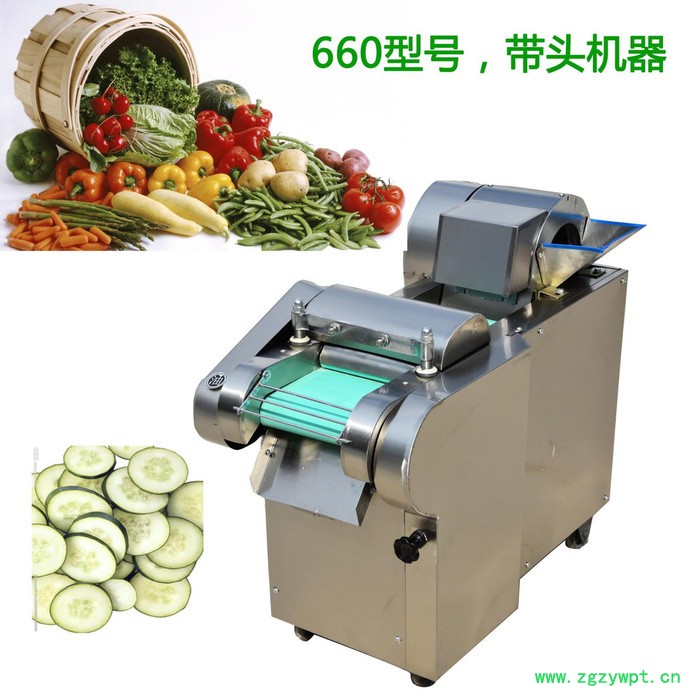 牛膝切丁机 商用多功能切菜机 荠菜根切丝机图片图7