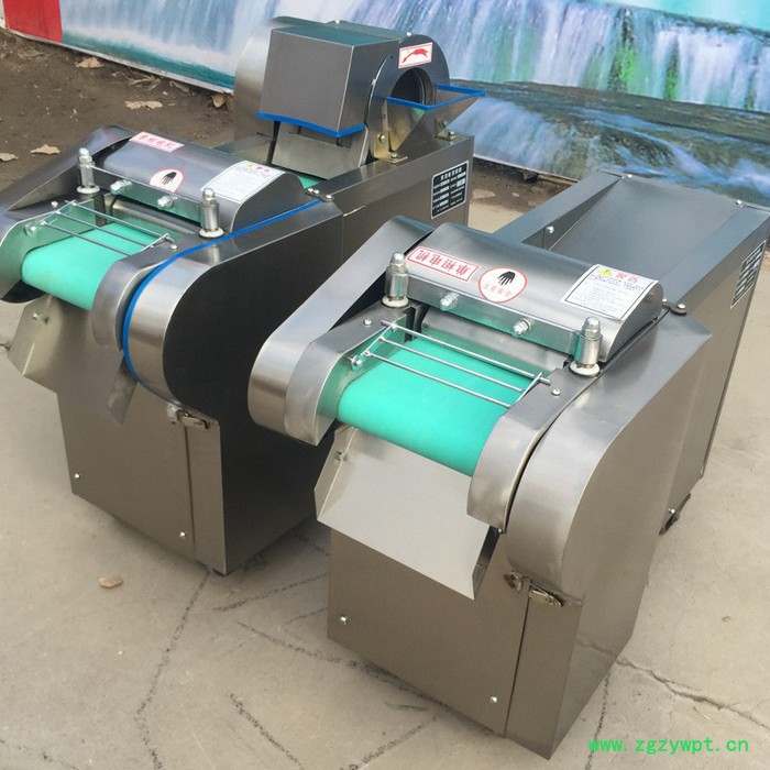 牛膝切丁机 商用多功能切菜机 荠菜根切丝机图片图5