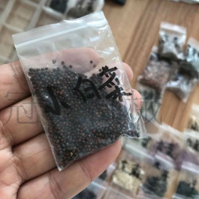 冠发 小型蔬菜播种机 手推菜籽精播机 **滚筒元胡药材收获机