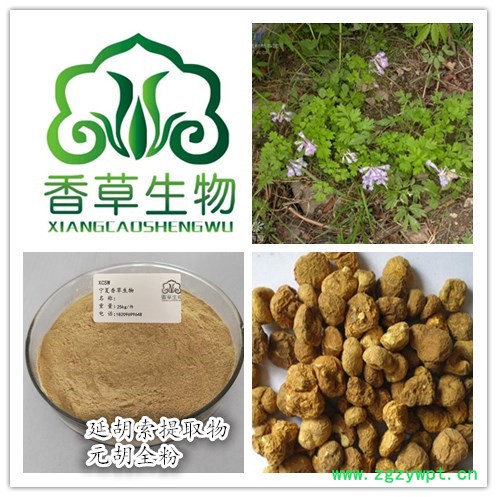 延胡索粉98% 香草生物批发延胡索浸膏粉水溶性好  元胡粉纯粉现货图3