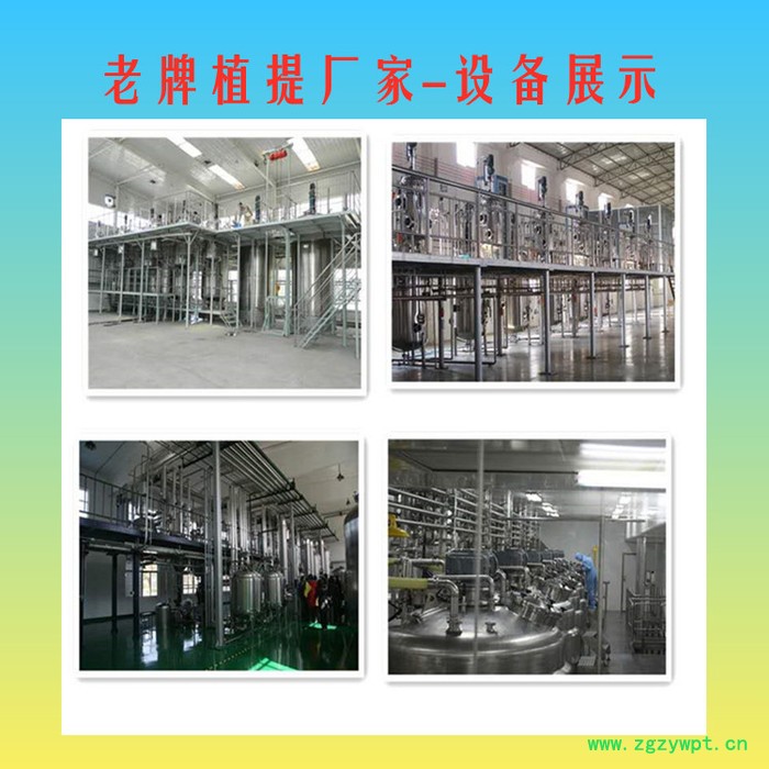 玉竹多糖30% 玉竹粉 玉竹提取物 全水溶 厂家直发 无差价图6