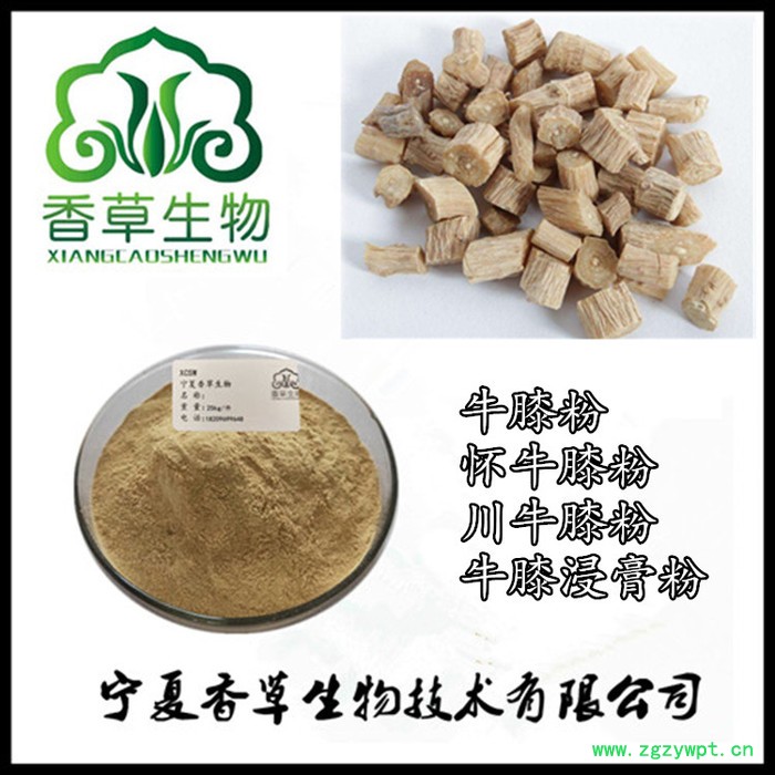 牛膝粉98% 宁夏厂家供应怀牛膝粉80目 牛膝浓缩粉水溶型图5