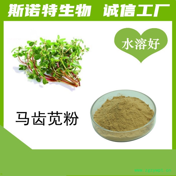 斯诺特生物 川芎粉 水溶性原料图4