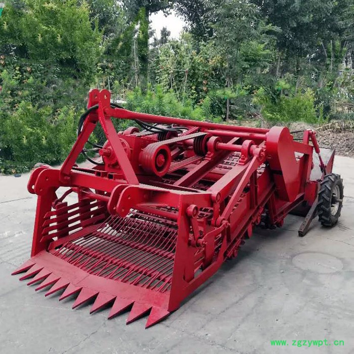 融兴rongxing 邳州白术挖掘机 知母挖掘机价格 元胡收获机图4