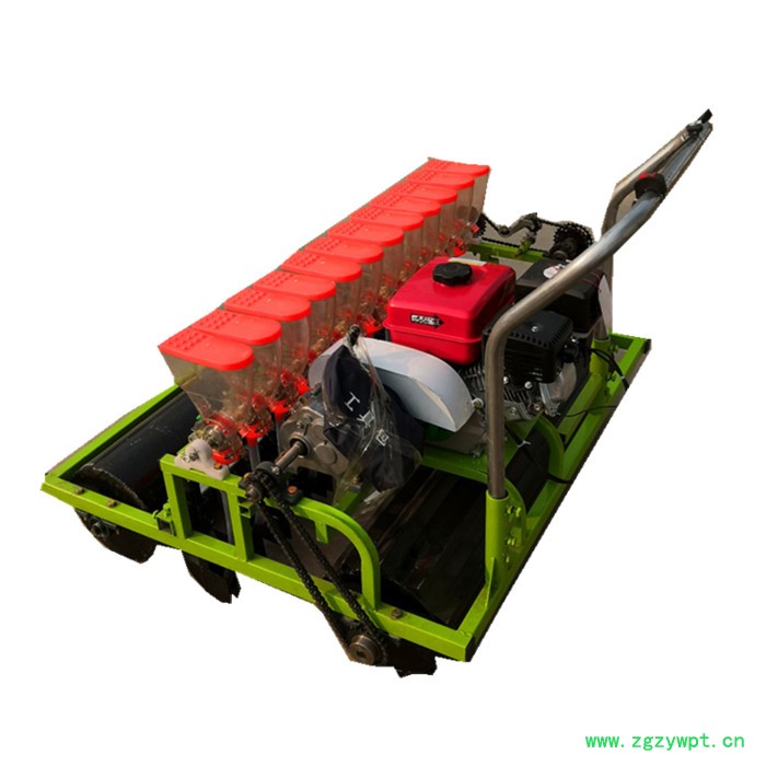 冠发 丹参播种机 大棚蔬菜大型精播机 **滚筒元胡药材收获机图4