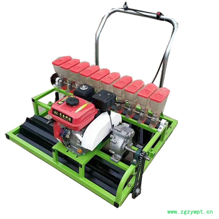 冠发 丹参播种机 大棚蔬菜大型精播机 **滚筒元胡药材收获机图8