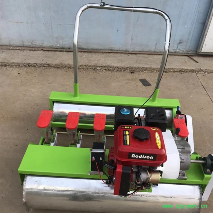 冠发 甘蓝播种机 蔬菜谷子播种机厂家 **滚筒元胡药材收获机图2