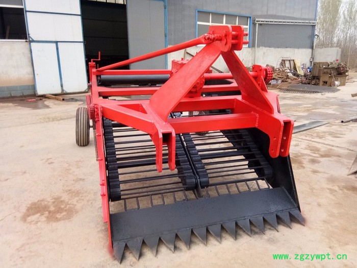 爆款**尚锐新款链条式当归川芎省时省力高效快速挖药机图2